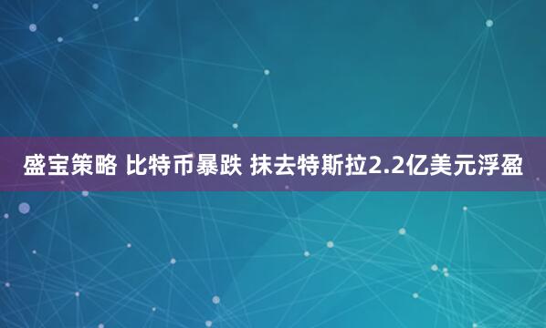 盛宝策略 比特币暴跌 抹去特斯拉2.2亿美元浮盈