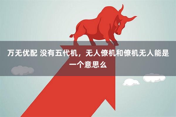 万无优配 没有五代机，无人僚机和僚机无人能是一个意思么